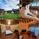 바다위통나무펜션씨그리메 | 강원도글램핑 양양토담글램핑에서 캠핑 감성 제대로 느끼고 온 후기 🏕🪵