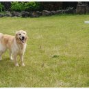 온평동로 이미지