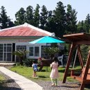 비자숲길15 이미지