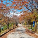 뜬봉샘 생태길 이미지