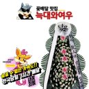 여우메디 이미지