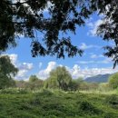 미사경정공원 이미지