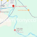 반딧불마을 | 말레이시아 조호바루 반딧불 투어 아이와 여행 필수코스 실제 후기 &amp; 꿀팁