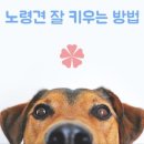 더 편하개 이미지