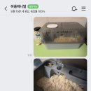 로던트클럽 강서마곡점 이미지