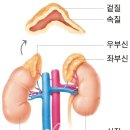 부평식품