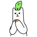 딜루디움 이미지