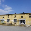 세세종농협봉암점 이미지