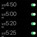 새벽-숲 이미지