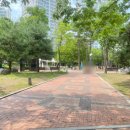 솔빛공원 농구장 이미지