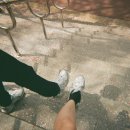 리틀베어 이미지