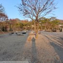 라임코스