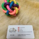 댕냥이키친 이미지