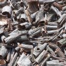 예덕나무껍질예덕나무묘목 이미지