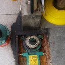 수원-0443 이미지