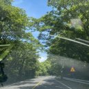 식물생태숲 영상체험관 화장실 | 제주도 8일차 516도로 마방목지/한라숲생태공원/도리빨에서 스노클링