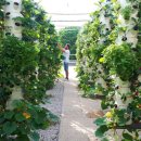 세계농장 이미지