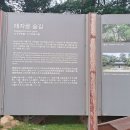 고란사 - 1398 | 고란사
