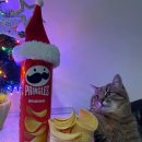 오늘밥상 이미지