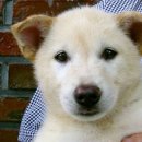 초희의 집 이미지