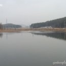 충남서천 (배다리지) 이미지