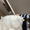 리라 | 삼성역피부과 허벅지지방분해주사 리라주사 내돈내산 후기