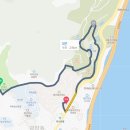 지도 왕벚나무길 이미지