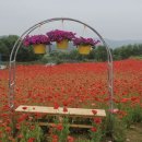 신풍면 행정복지센터 이미지