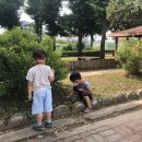 동두천초등학교 병설유치원 이미지