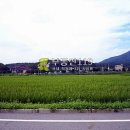 동리 농장 이미지