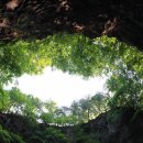 진보세탁소 이미지