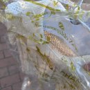 이도세탁소 이미지