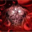 뷰티힐링샵 이미지