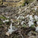 팔현2리 마을회관 이미지