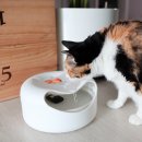 옹달샘분수 이미지