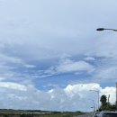 한경 | 제주한경면맛집 제주로컬맛집 고산리맛집 제주서쪽갈치조림 ‘한경가든‘ 후기