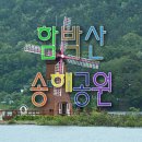 송해공원 제2주차장 Daum카페
