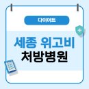 큰사랑약국 | 세종 위고비 처방 병원 조회 및 약국 리스트 (가격 비교)