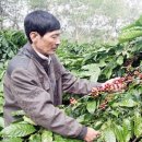 아시아엔 이미지