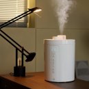 플랜티풀 | 오아 가열식 가습기 추천, 비염 달고 사는 김과장의 플렌티 스팀 내돈내산 후기