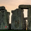 로마스파민박 이미지