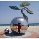 부부목장 이미지