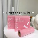 티알엠 | 라온티알엠 소확청 테이프 클리너/돌돌이 후기 :-)