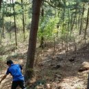 숲고을농장 이미지