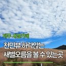 새빌 | 제주 새빌카페 솔직후기 | 새별오름 뷰로 완성되는 카페, 진짜 가볼 만할까?