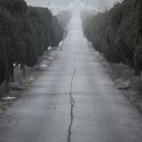 아름다운 동행 이미지