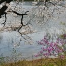 호암미술관 이미지