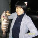 해성낚시터 이미지