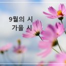 9월시모음 이미지