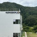 도즈커피 | 원주 애견 동반 카페 도즈오프 (Cafe Dose Off) [강아지와 함께하는 원주대형카페🌲]